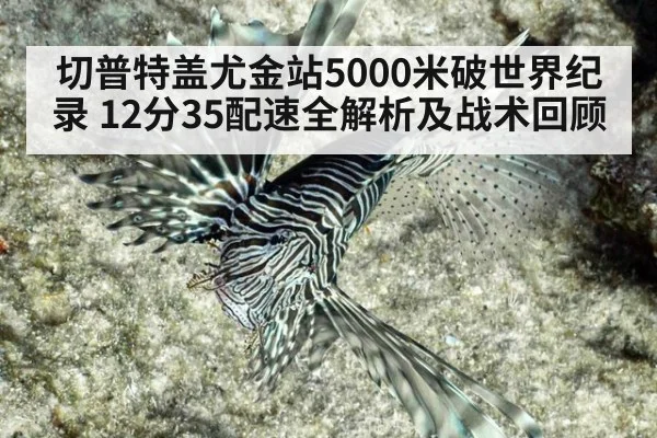 切普特盖尤金站5000米破世界纪录 12分35配速全解析及战术回顾