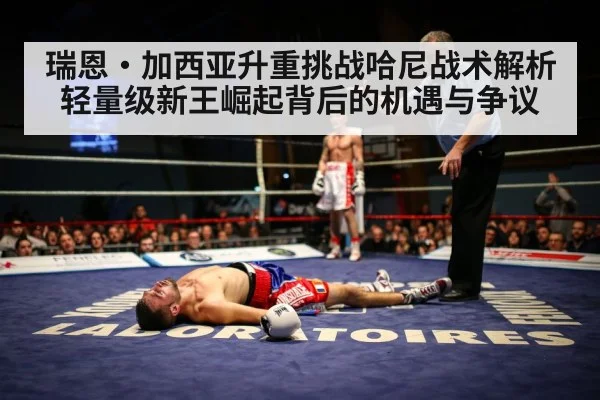 boxing knockout