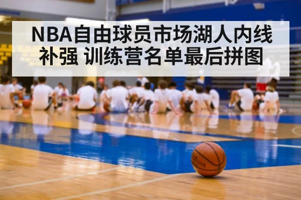 NBA自由球员市场湖人内线补强 训练营名单最后拼图